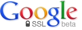 Google Search